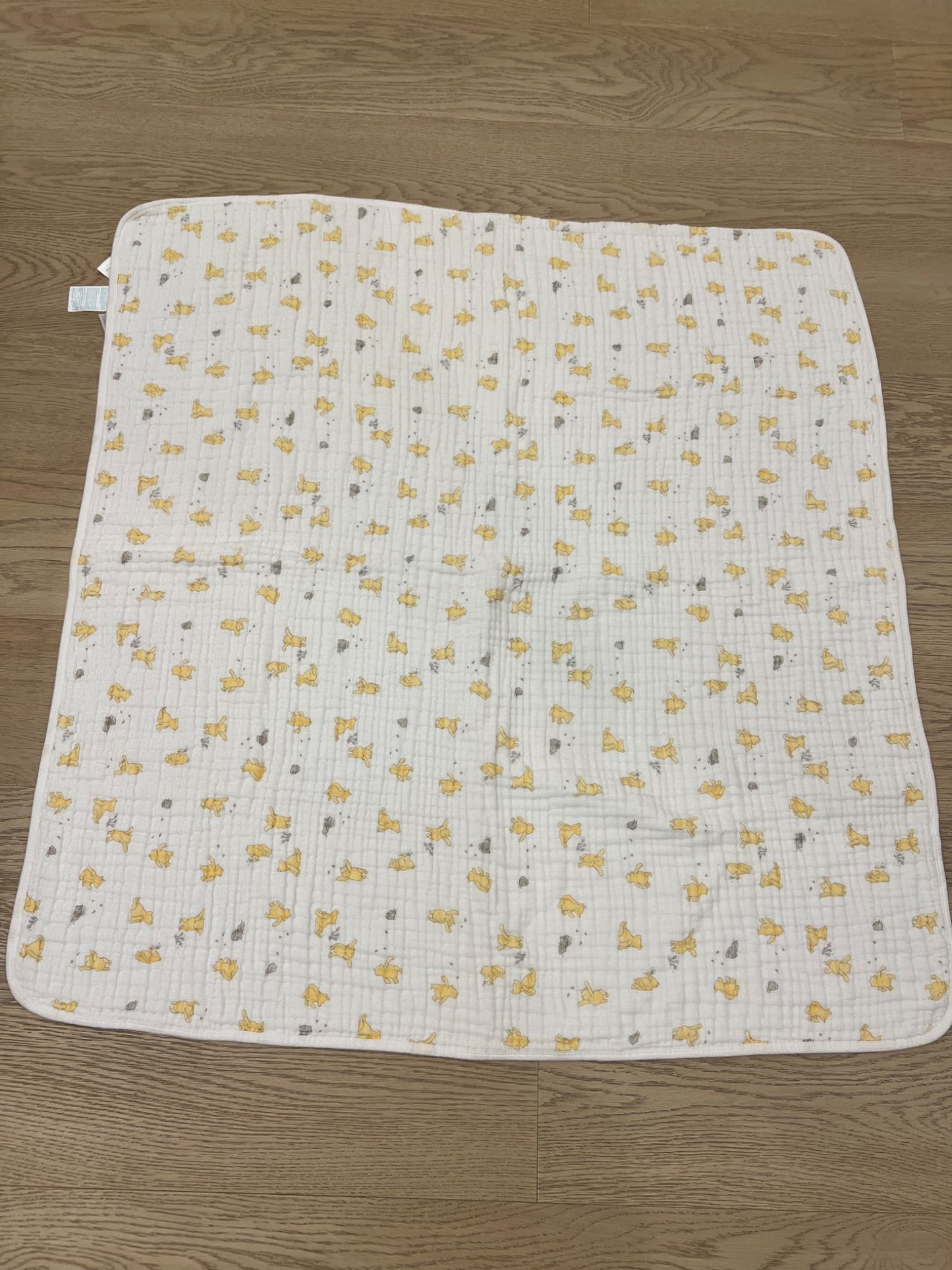 Winnie the Pooh reversible blanket