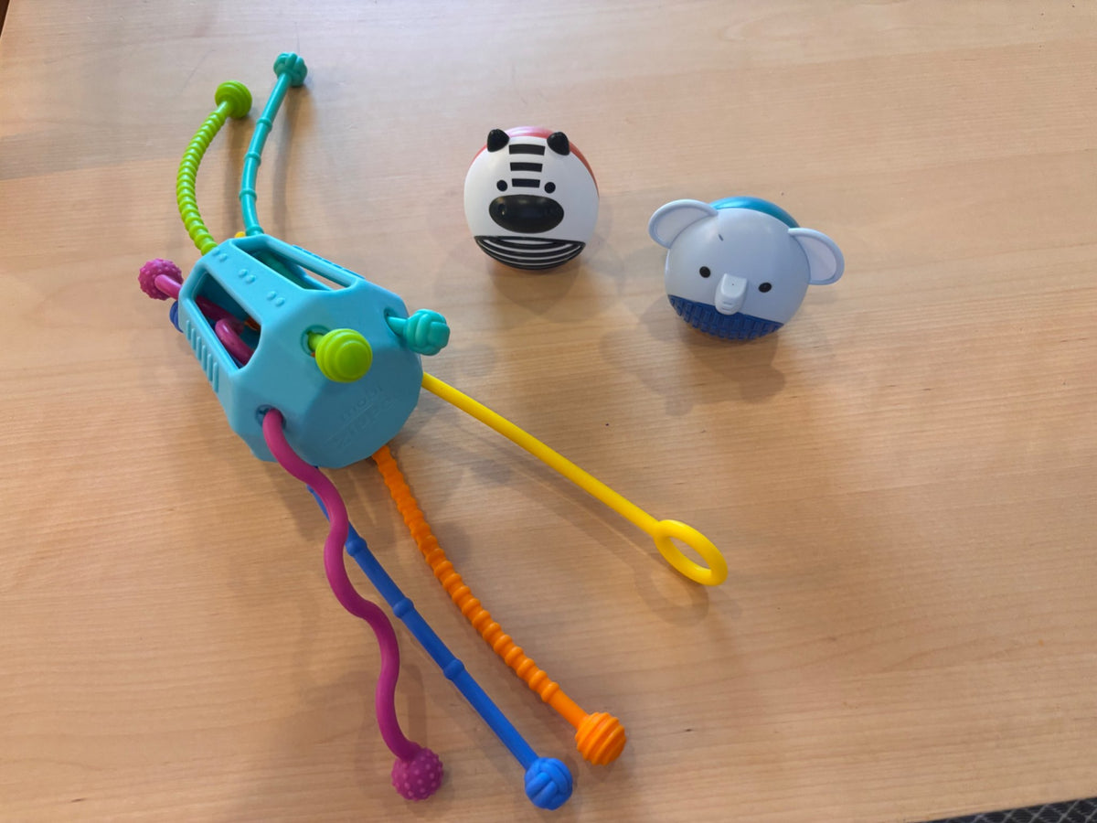 Mobi Sensory zipee pull toy and skip hop shakers