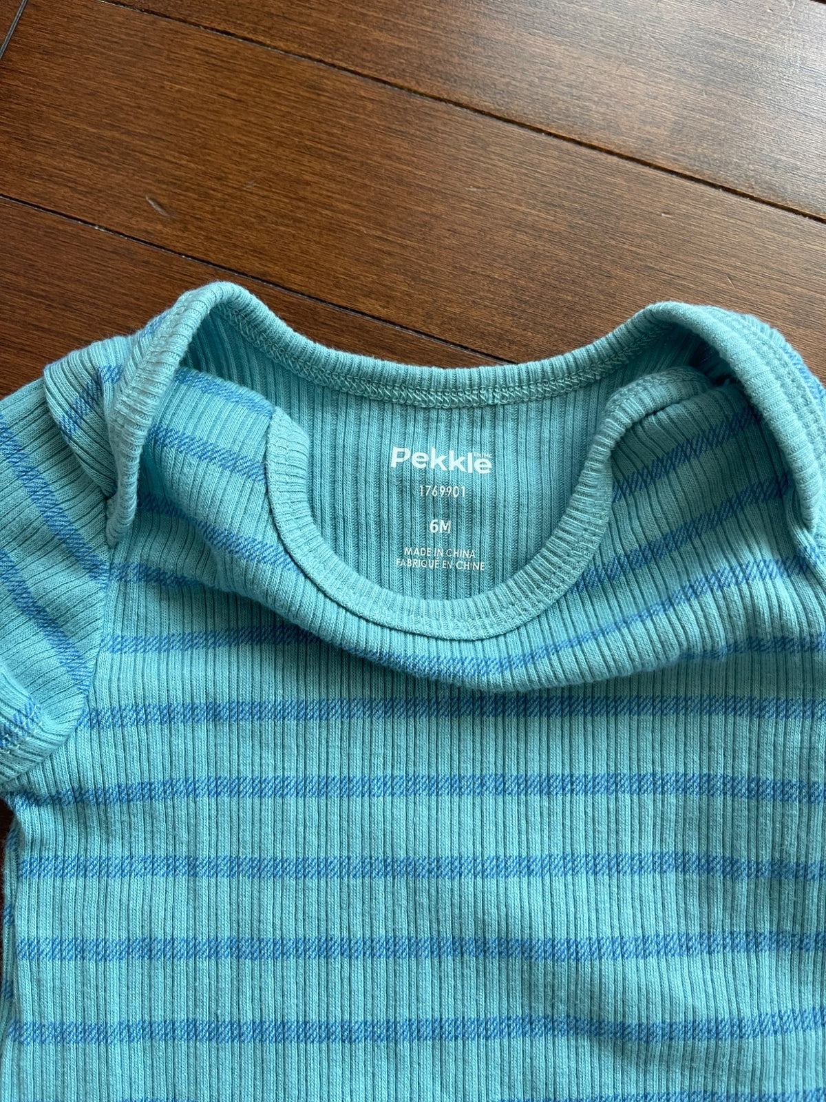 Dinosaur Overalls Set NWOT, Kids 6 Month (3-6M)