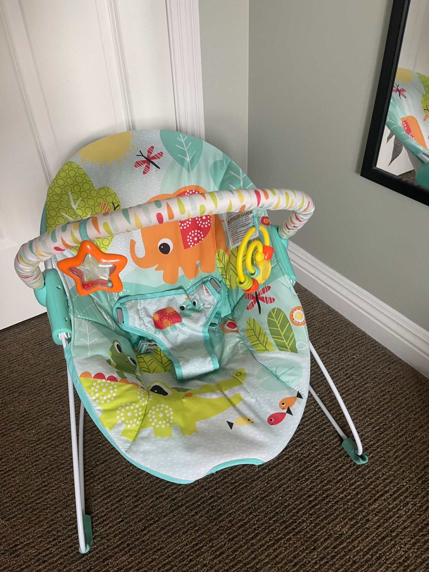 Bright Stars Baby Bouncer