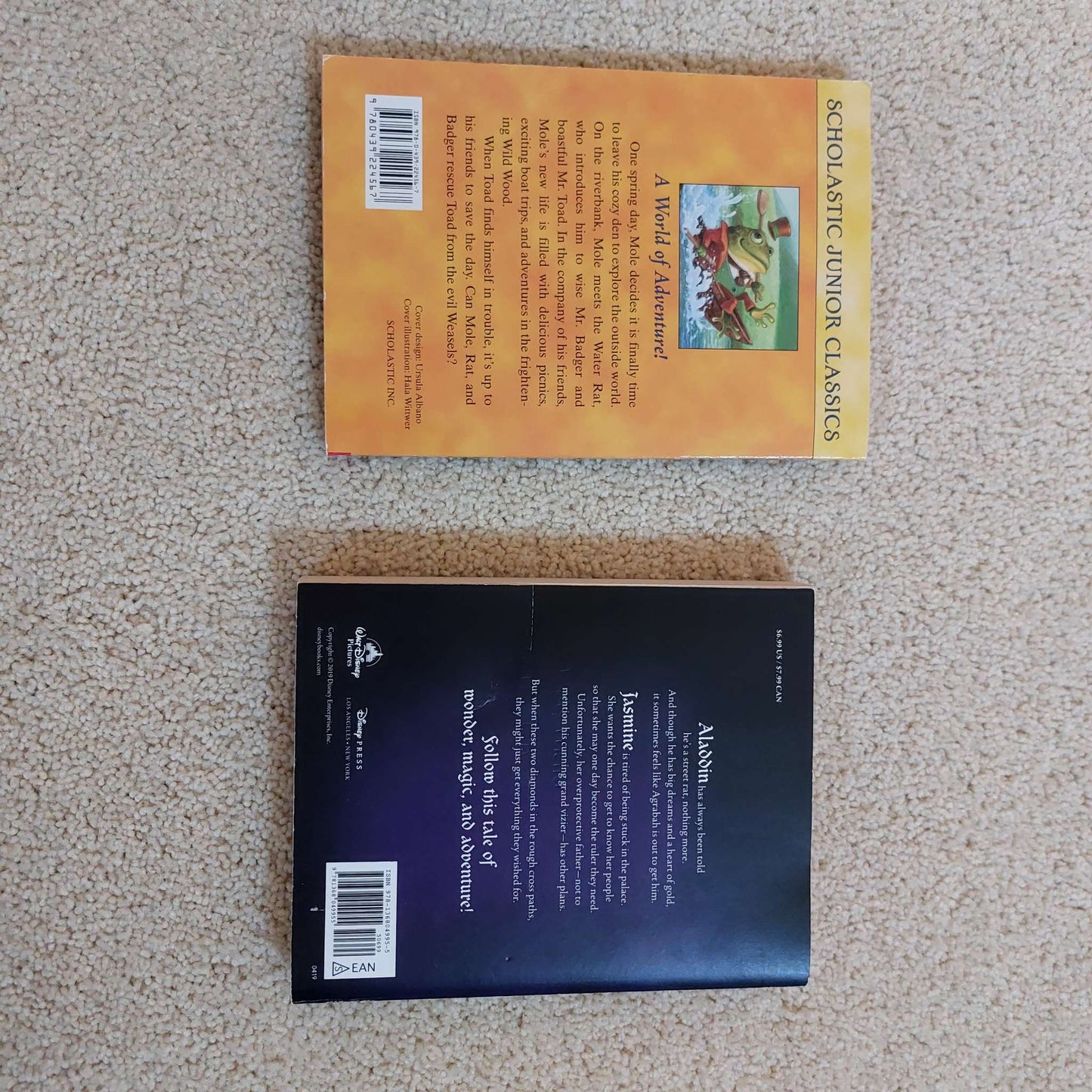 Book Bundle: Chapter Books (Preloved)