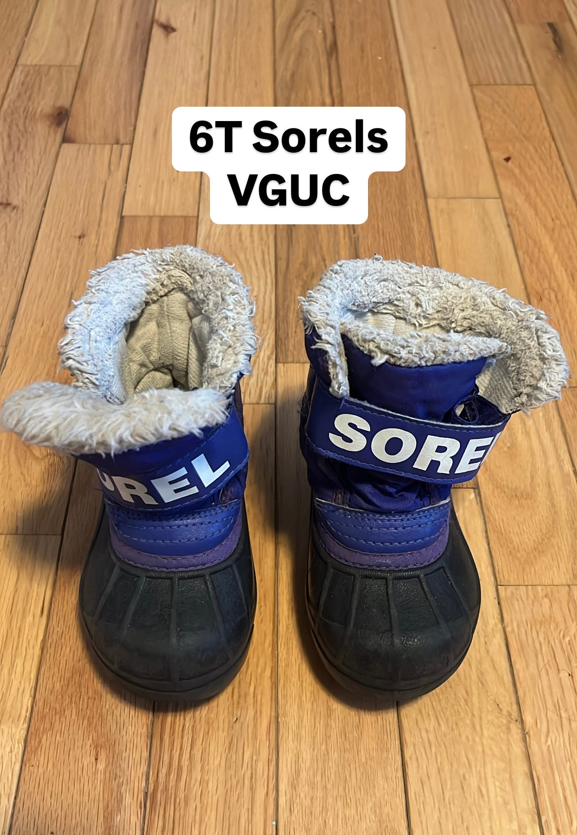 6T Sorel Winter Boots, Shoes 6.5 (Walkers:12-24 mth)