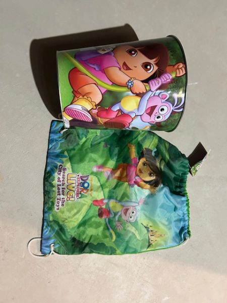 Decorative Dora Garbage Can & Dora Bag