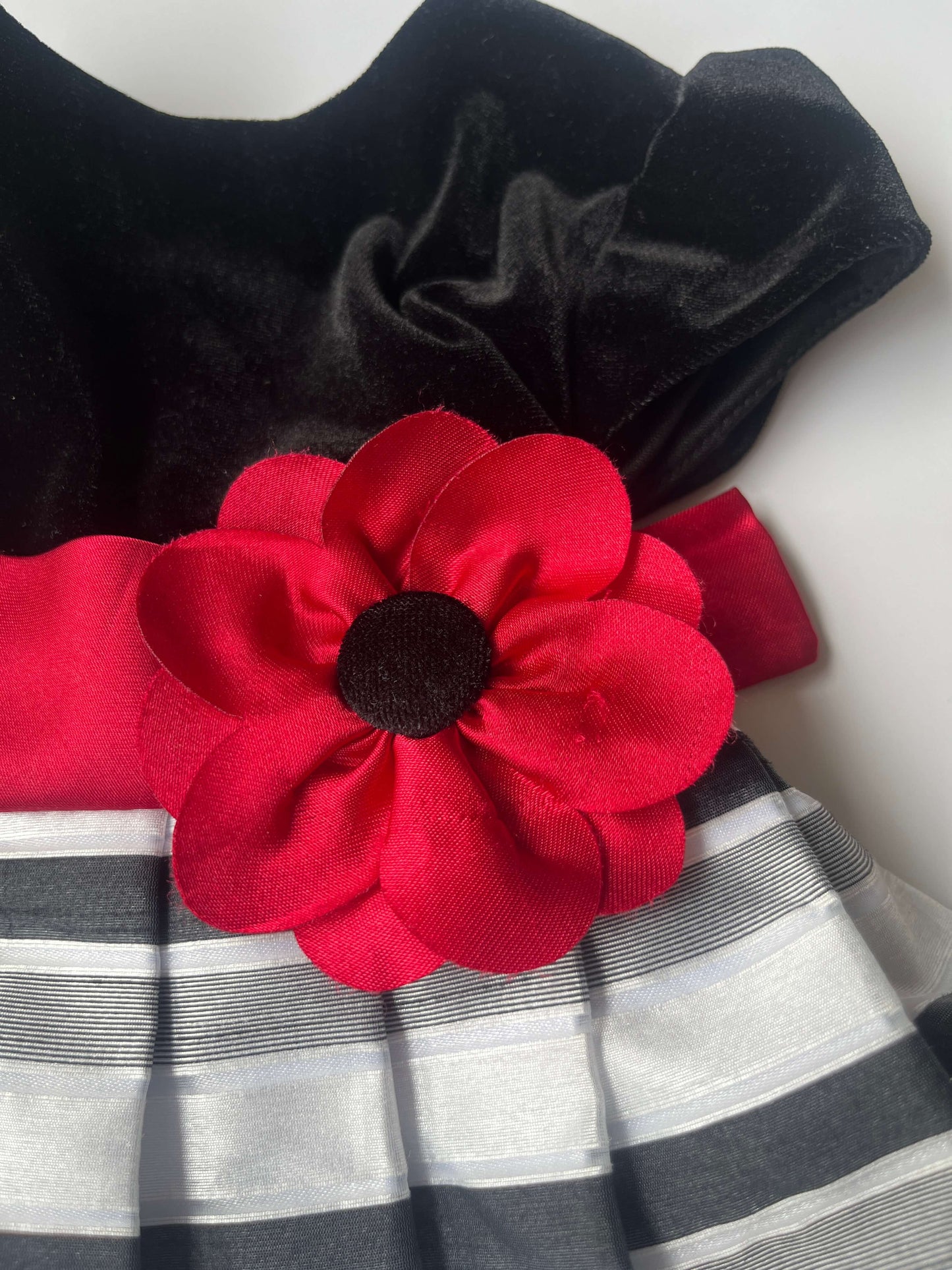 Beautiful Girls Special Occasion Dress, Kids 2T