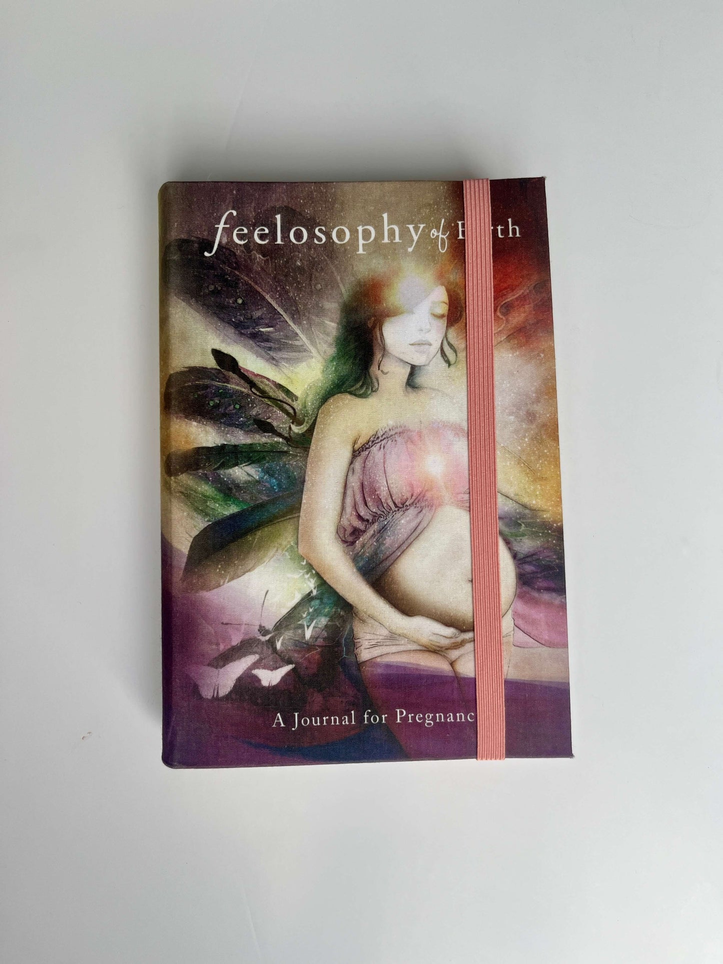 BRAND NEW Pregnancy Journal - MRSP: $39.95 (7 of total 10)