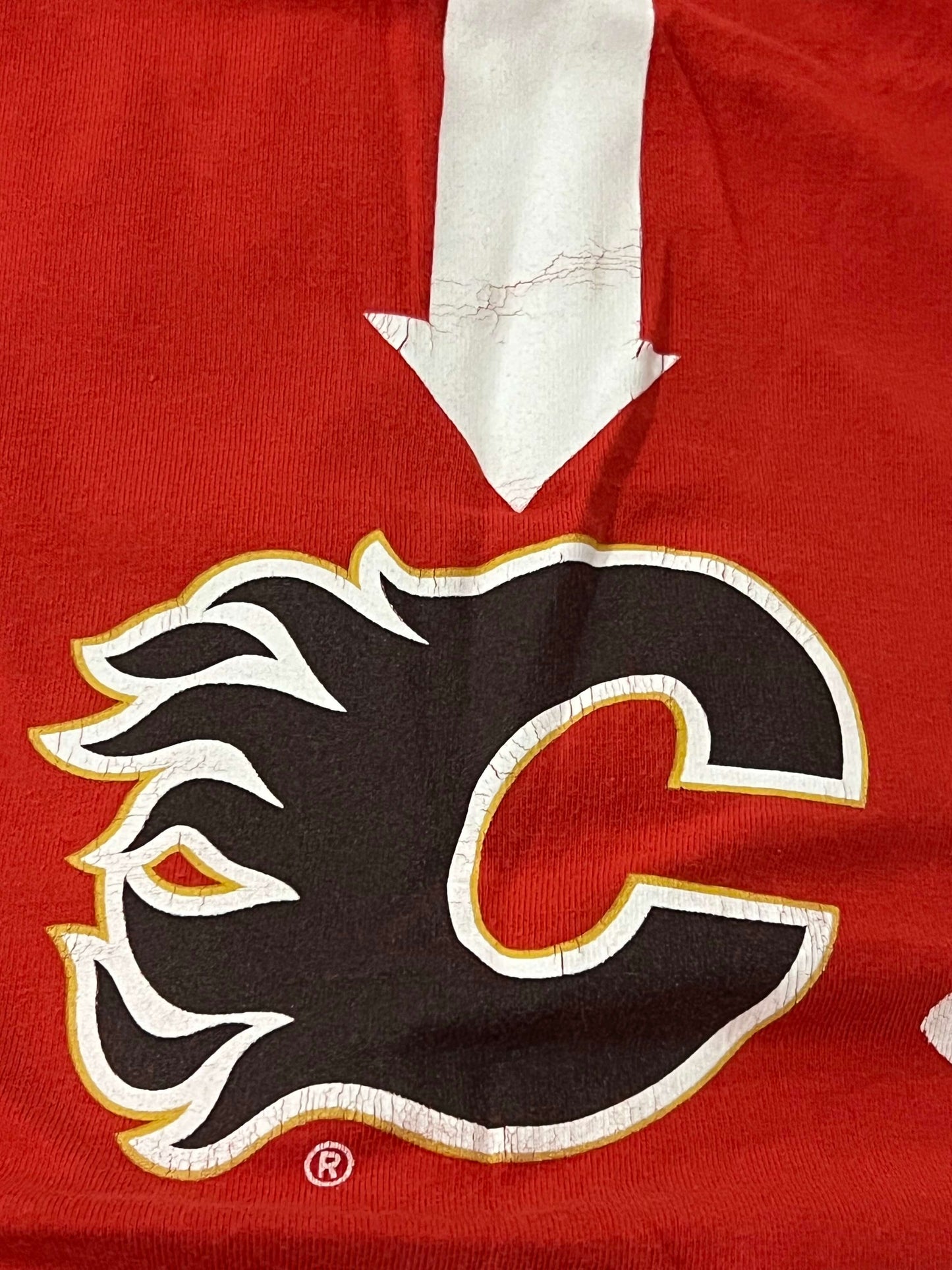 Red, Calgary Flames “Future Flames Fan” Maternity Shirt, size Large, VGUC, Maternity L (12-14)