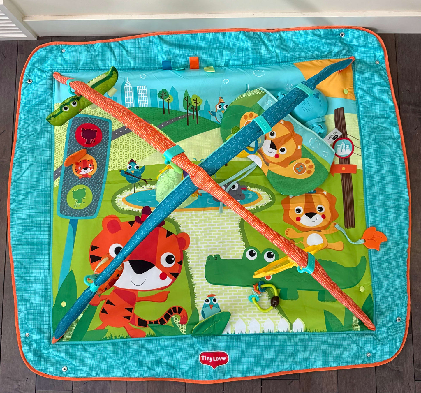 Tiny Love Play Mat