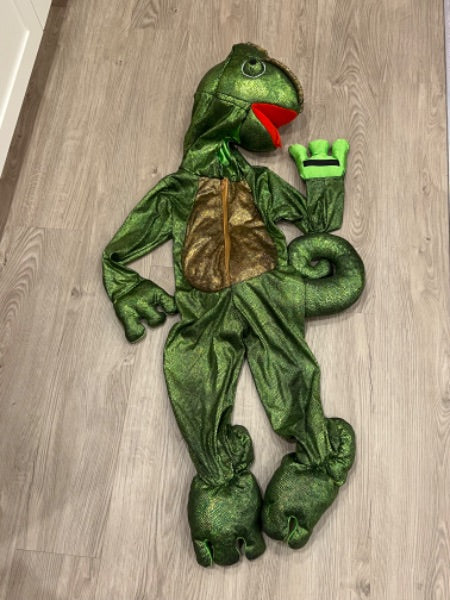 EUC, Chameleon Halloween Costume, Size 3T, Kids 3T