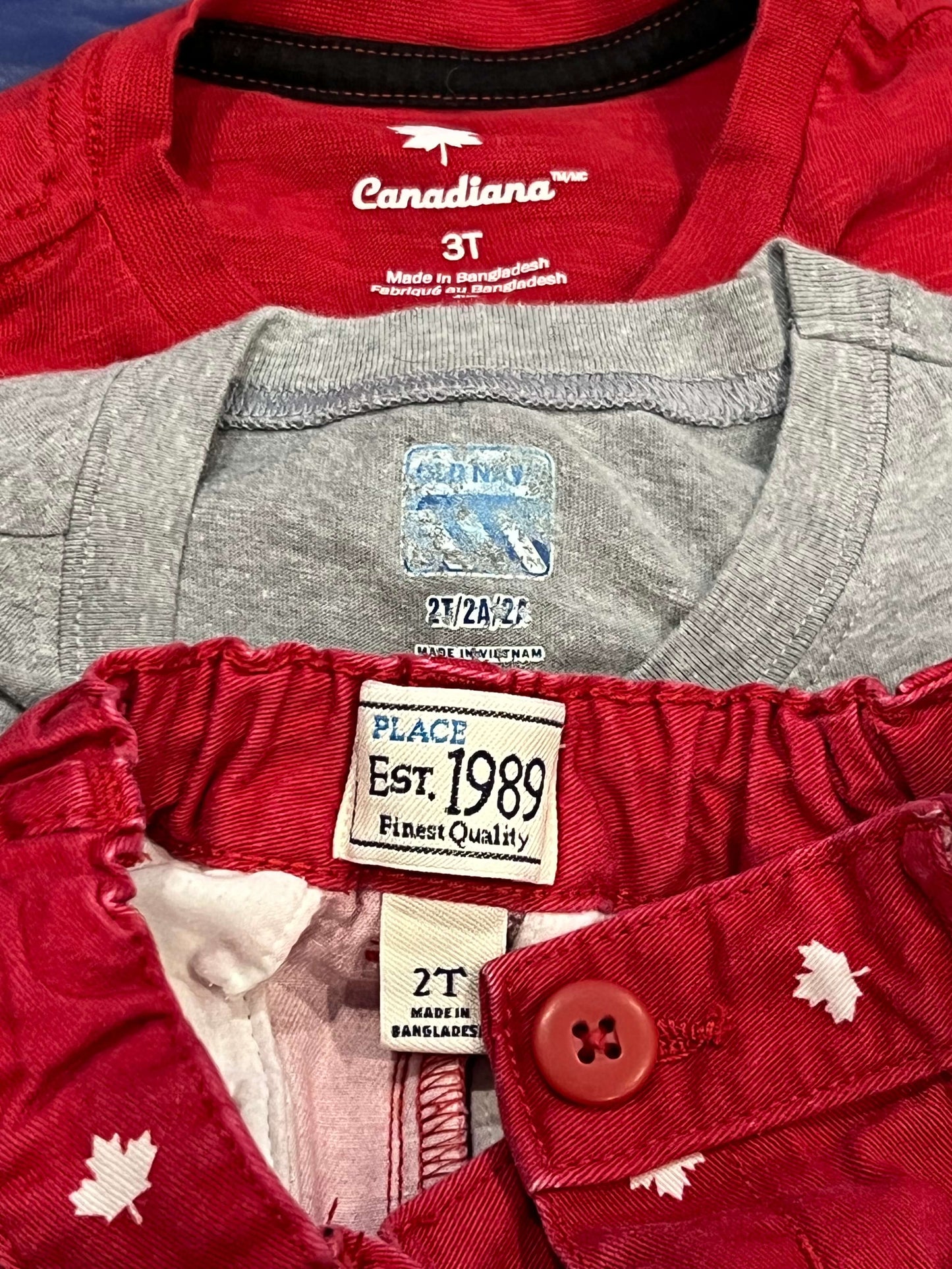 Boys Canada Day Bundle - Set of Two (2) Tank Tops and One Pair of Shorts, size 2T, VGUC, Kids 2T