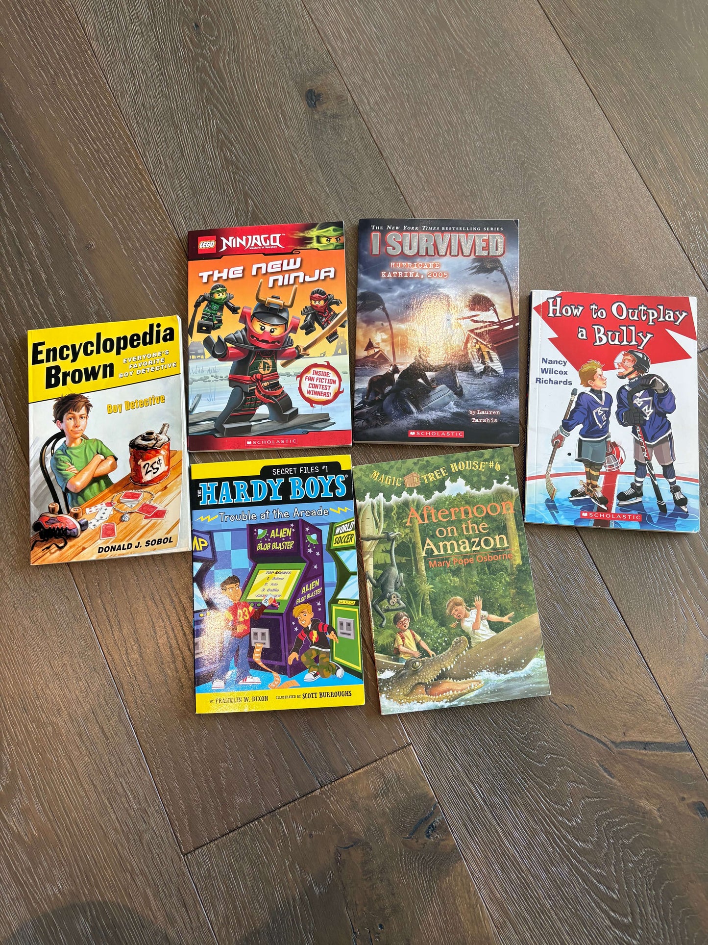Various Titles - package of 6 books - Grades 3-6