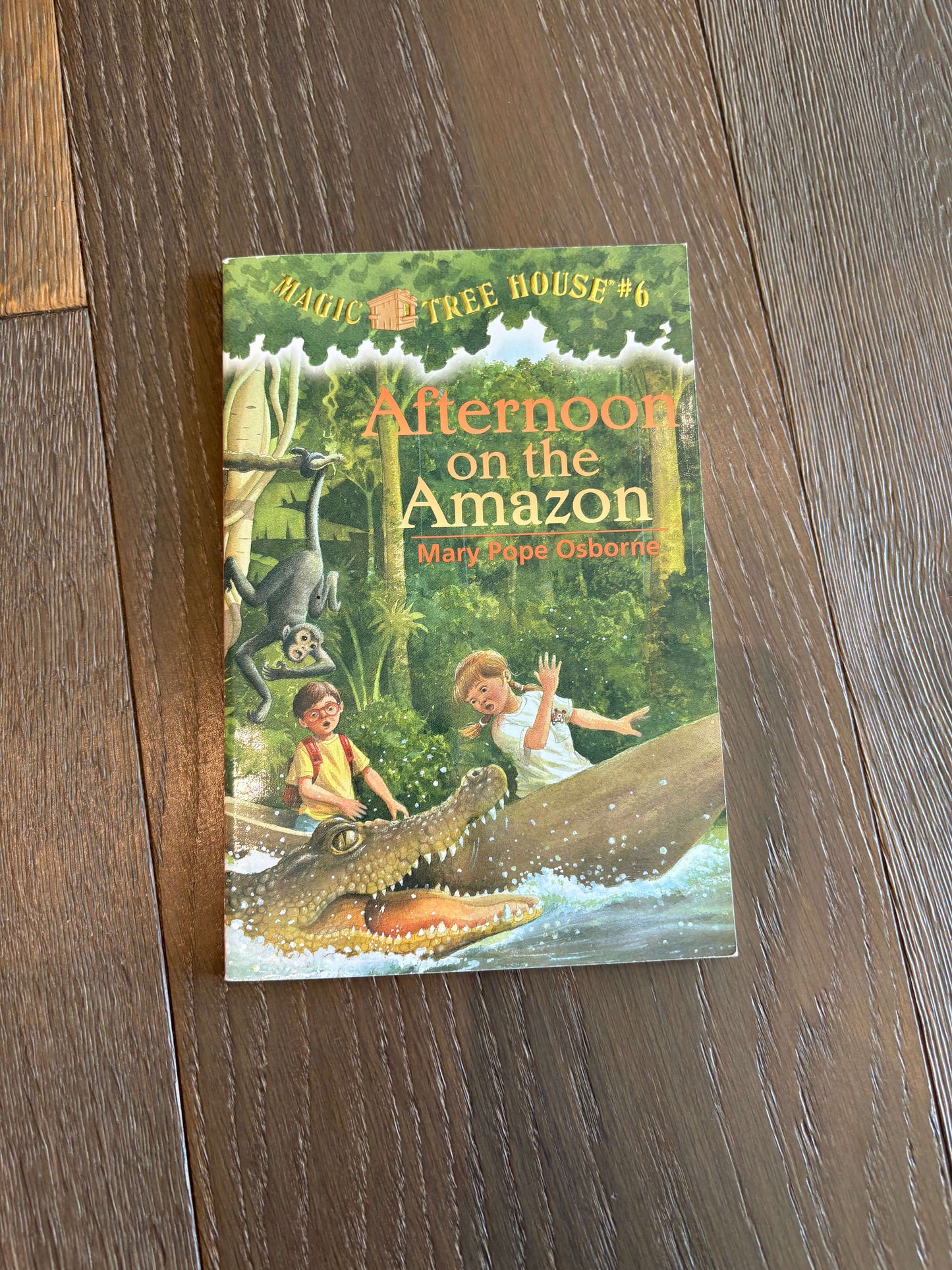 Various Titles - package of 6 books - Grades 3-6