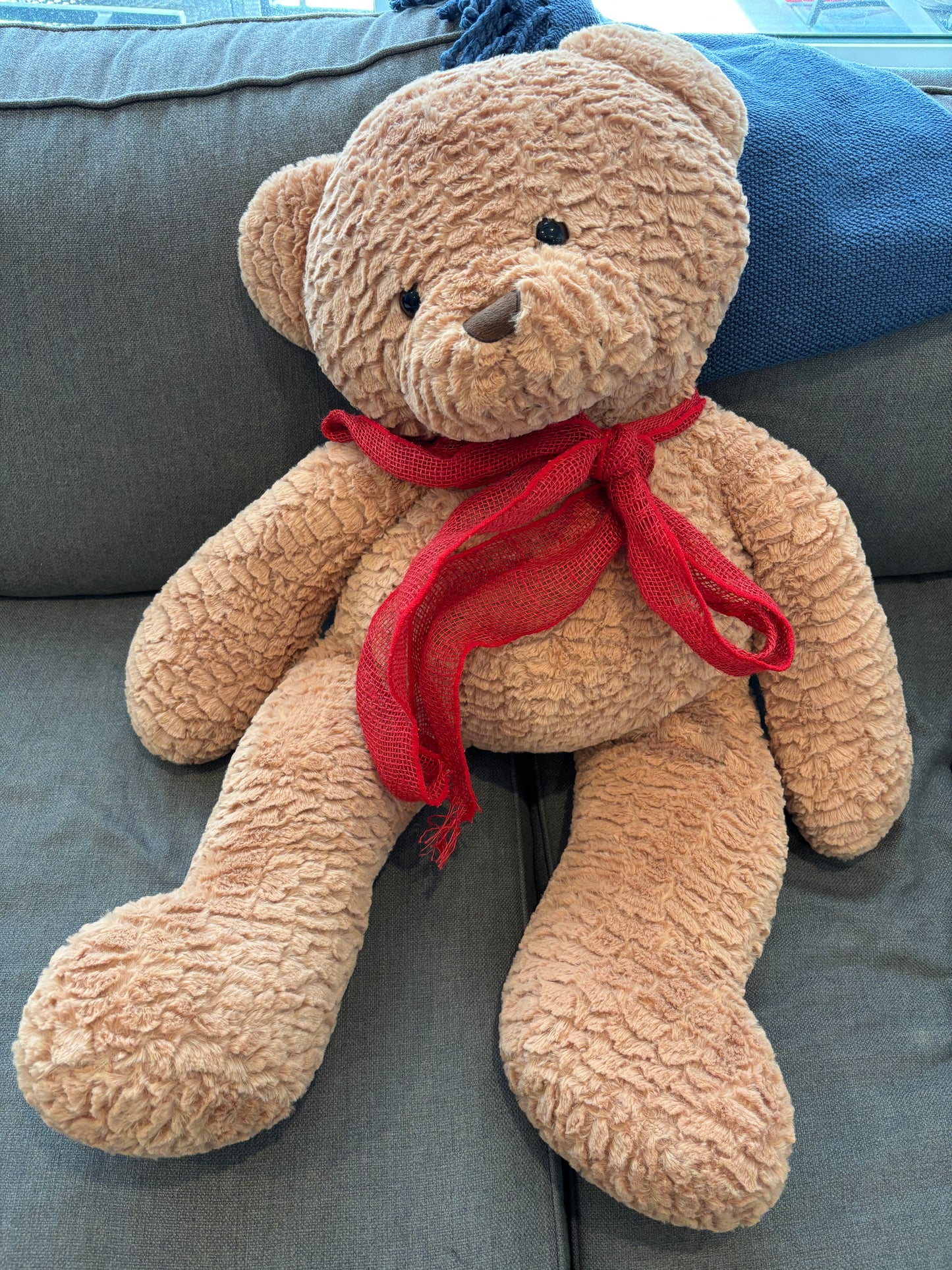 Large Teddy Bear
