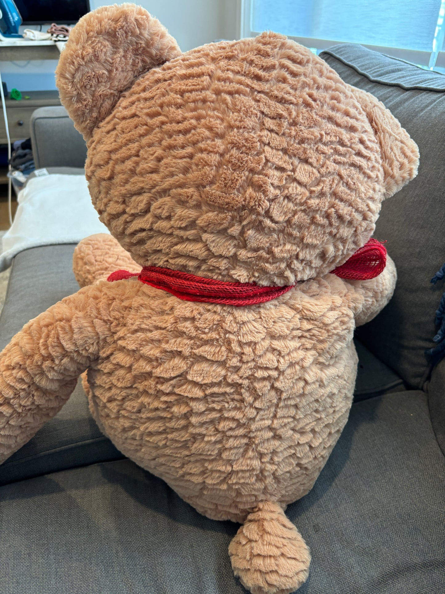 Large Teddy Bear