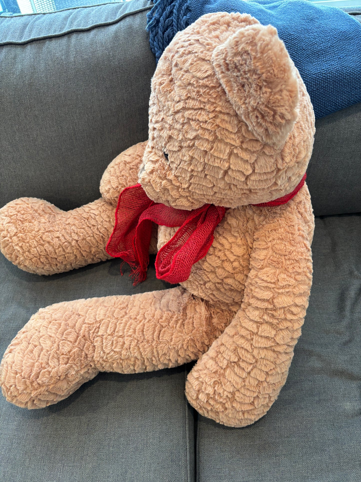 Large Teddy Bear