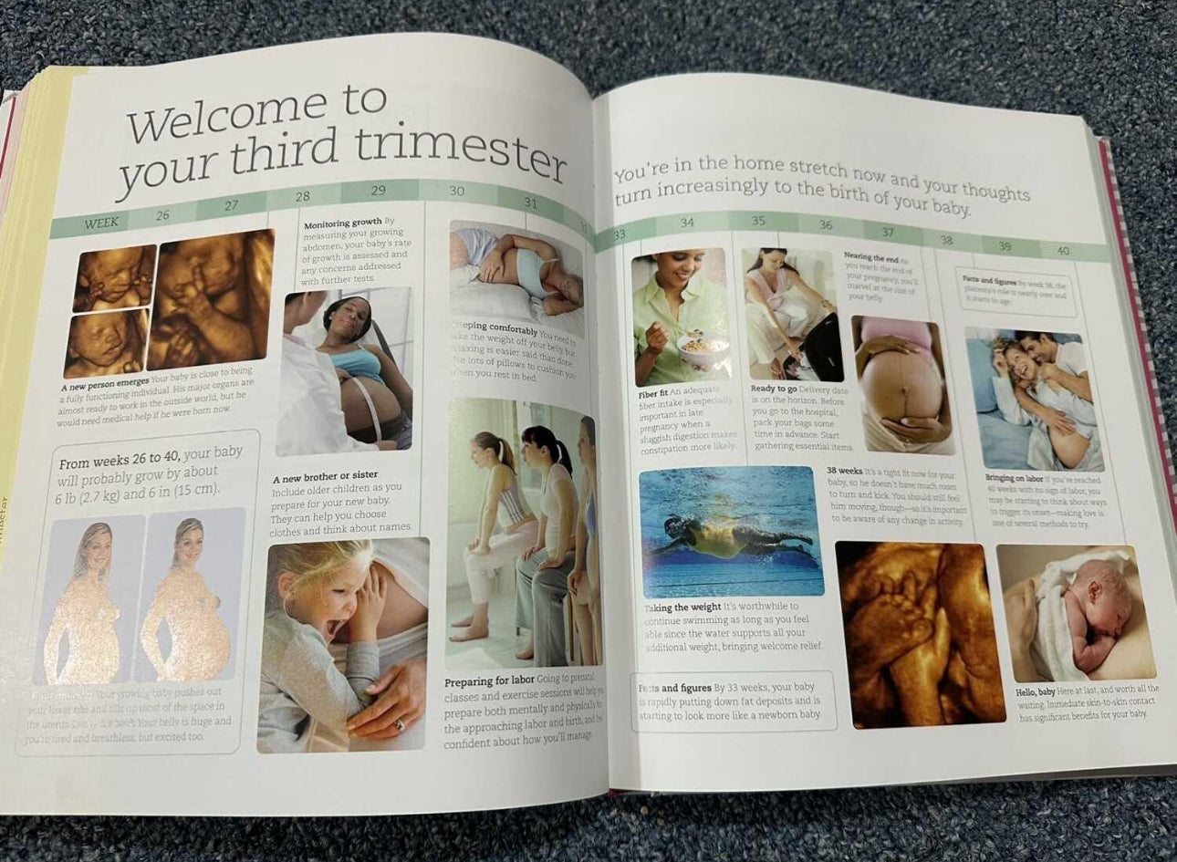 Day by day pregnancy book