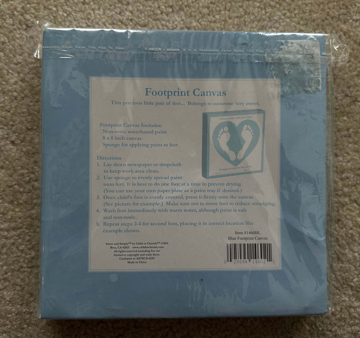 Sweet and Simple footprint canvas