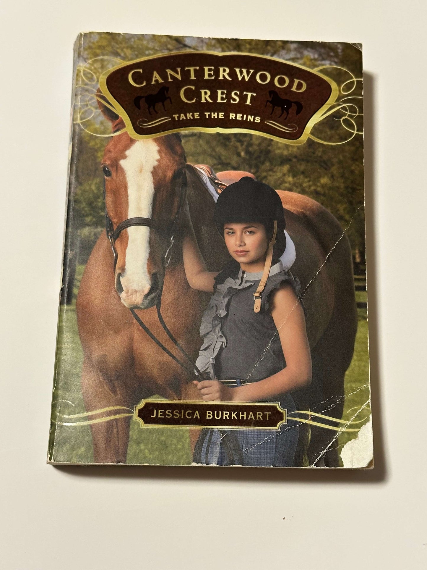 Canterwood crest book 1
