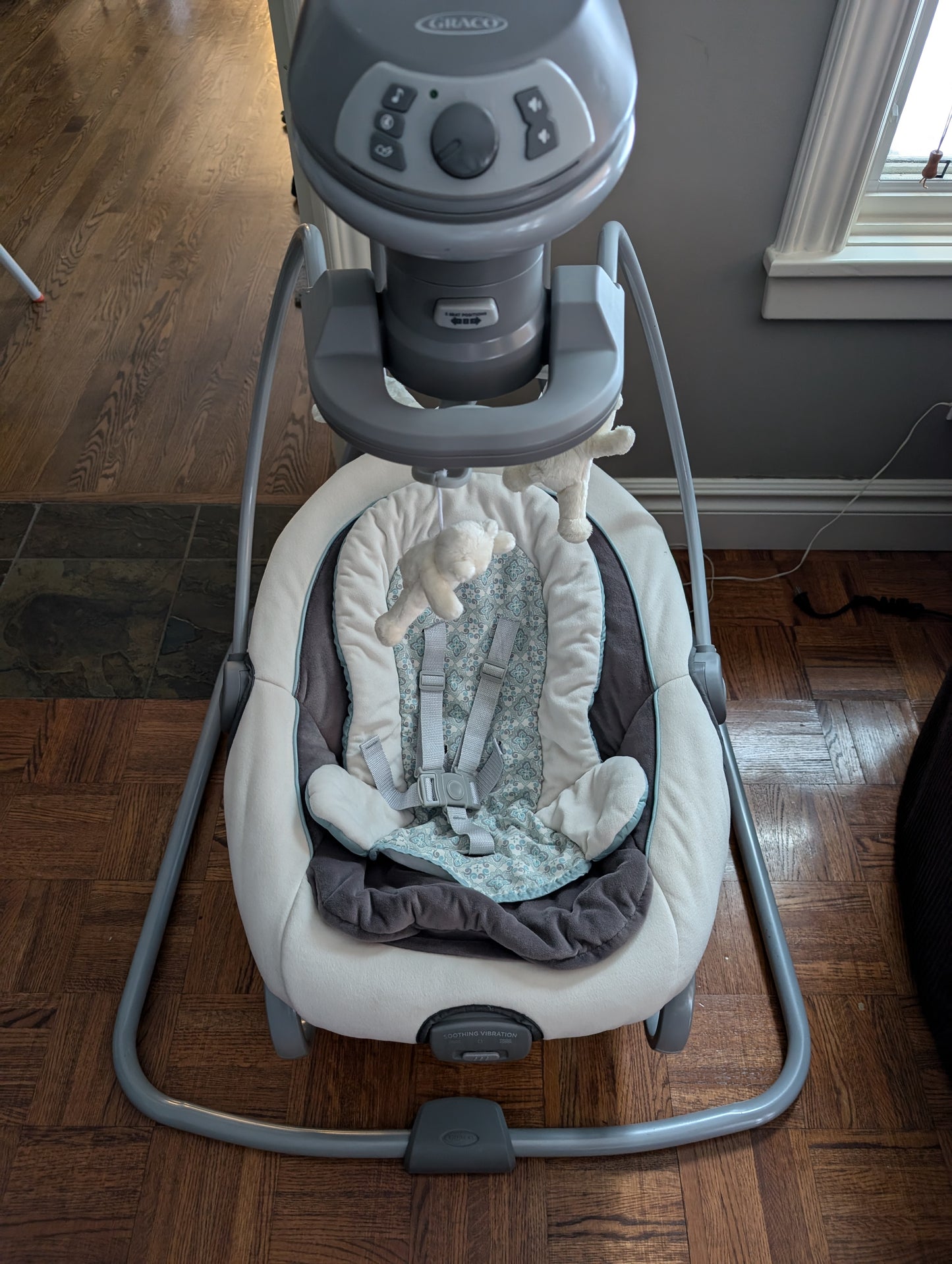 Graco DuetSoothe Swing & Rocker-2 in 1 Space Saver! MSRP: $250+CAD