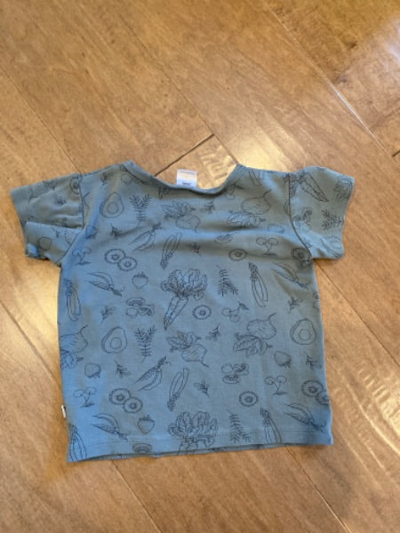 Little & Lively “vegetable” teal shirt size 1/2, Kids 2T