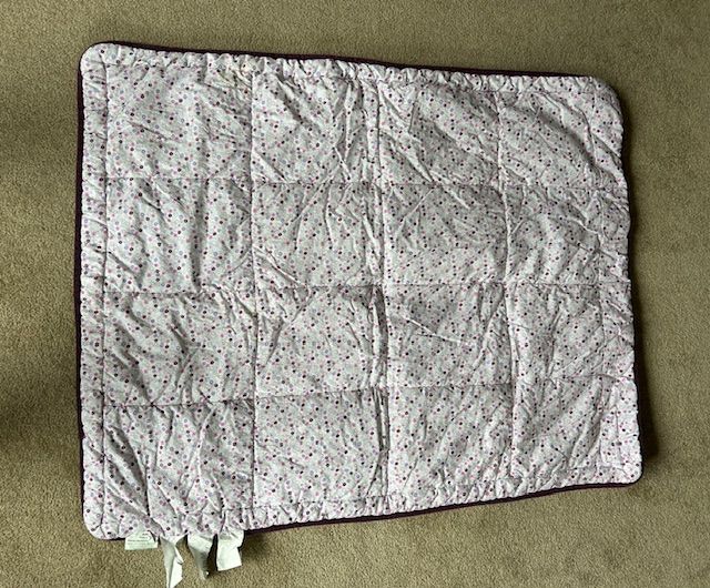 Baby Floor Play Blanket or Quilt for Kids by Lambs & Ivy