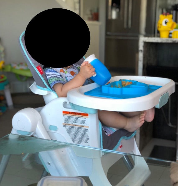 Fisher Price High Chair