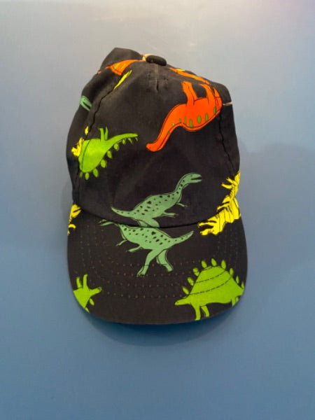 0-9 month Dino ball cap with sunshade at back