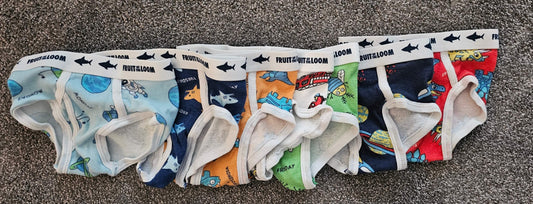 Days of the Week Boys Briefs 2/3T NWOT