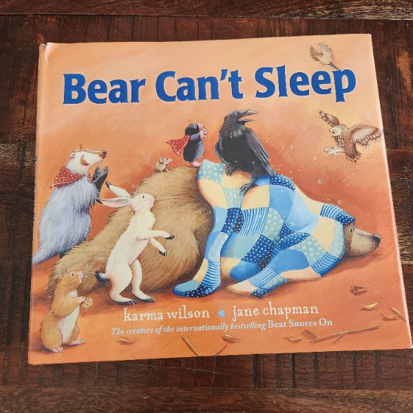 Bear Can't Sleep book, large hardcover book