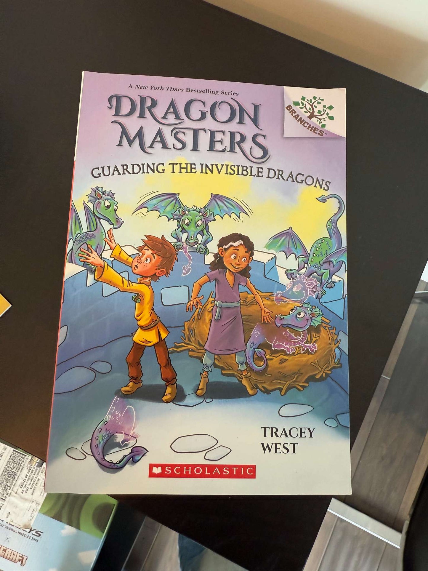 Dragon Master Books #1 to 22