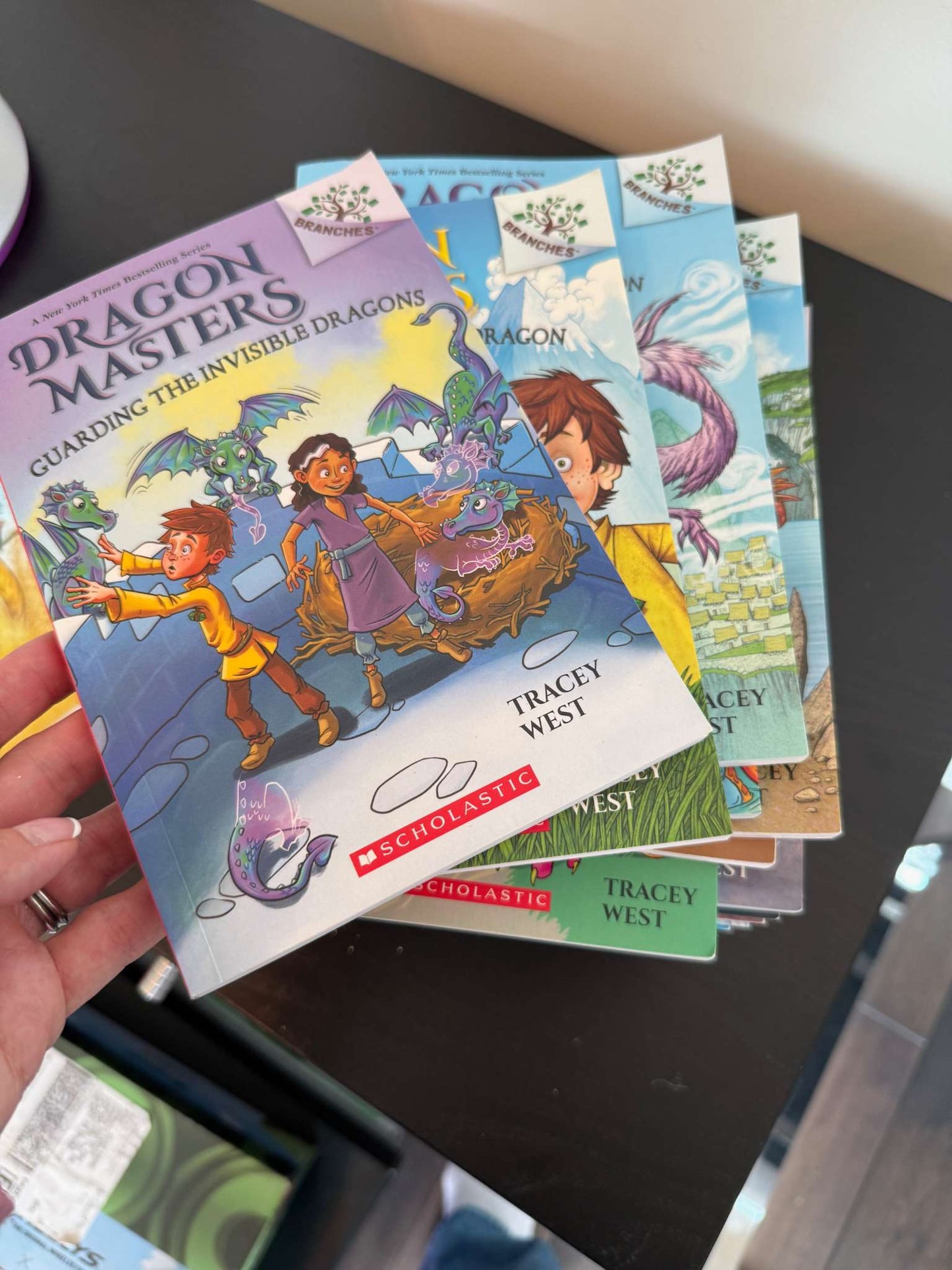 Dragon Master Books #1 to 22