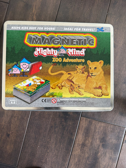 Magnetic individual game