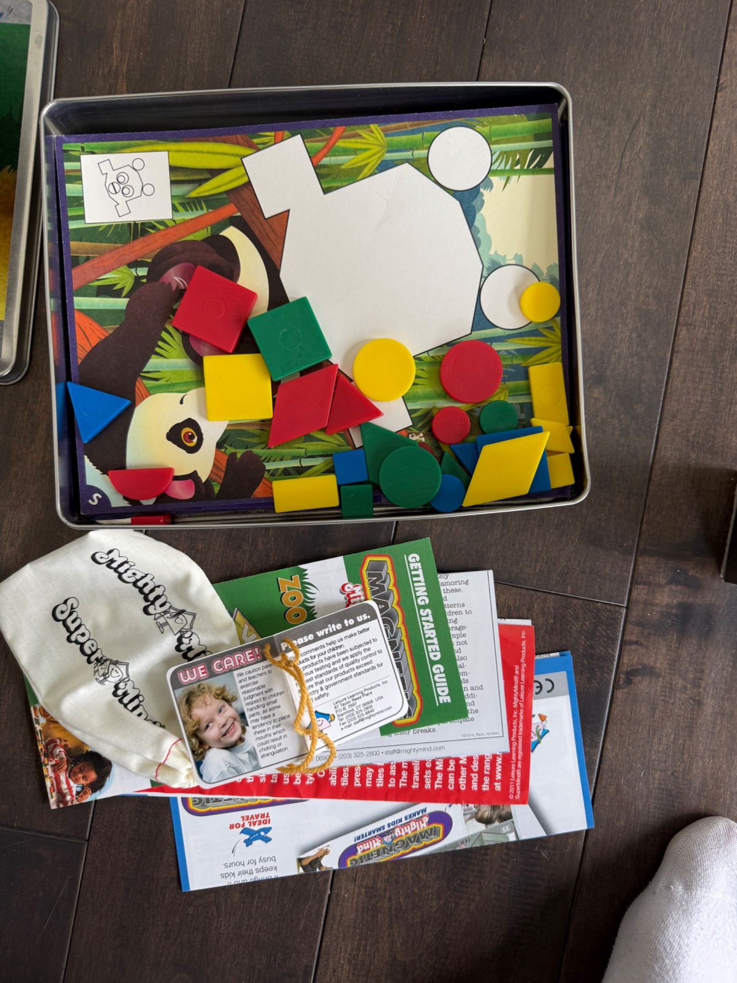 Magnetic individual game