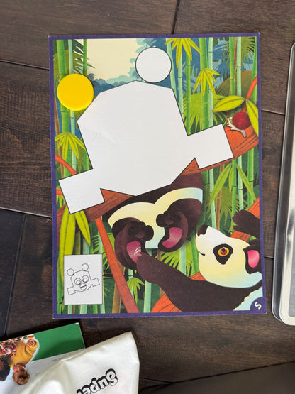 Magnetic individual game