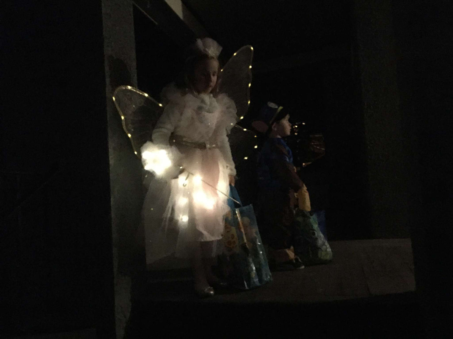 Pottery Barn Light-Up Fairy Costume size 7-8, Kids 8