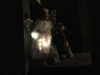 Pottery Barn Light-Up Fairy Costume size 7-8, Kids 8