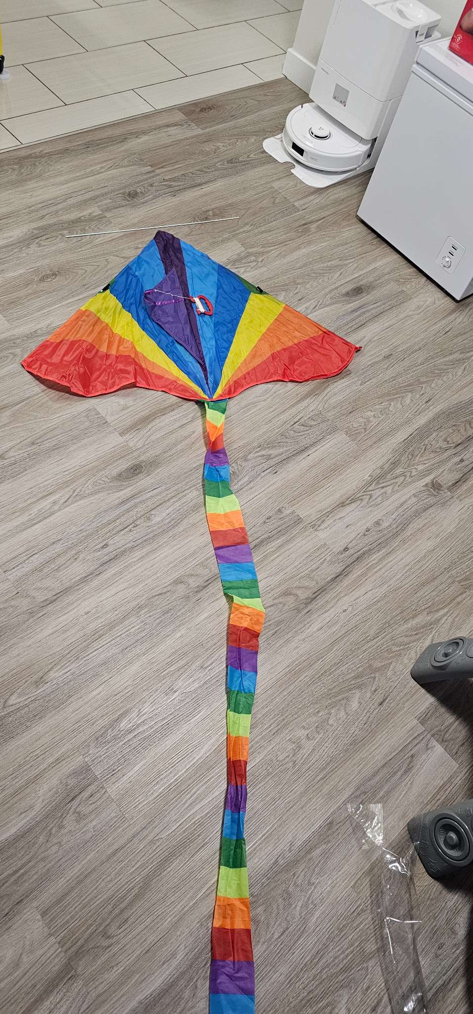 Rainbow Delta Kite