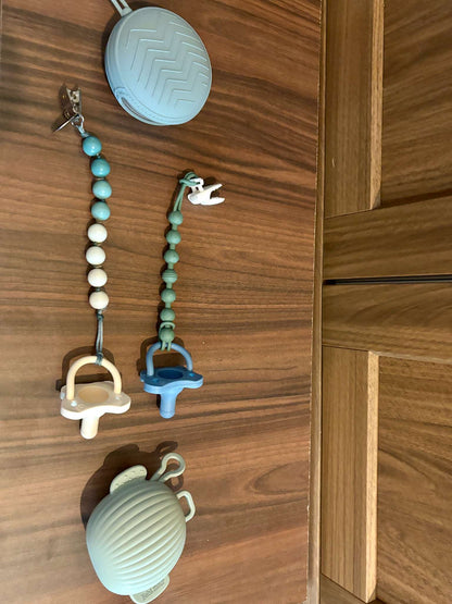 Dr. Browns Pacifiers, Cases and Silicone Clips