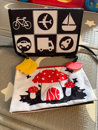 Baby Contrast book and crinkle toy