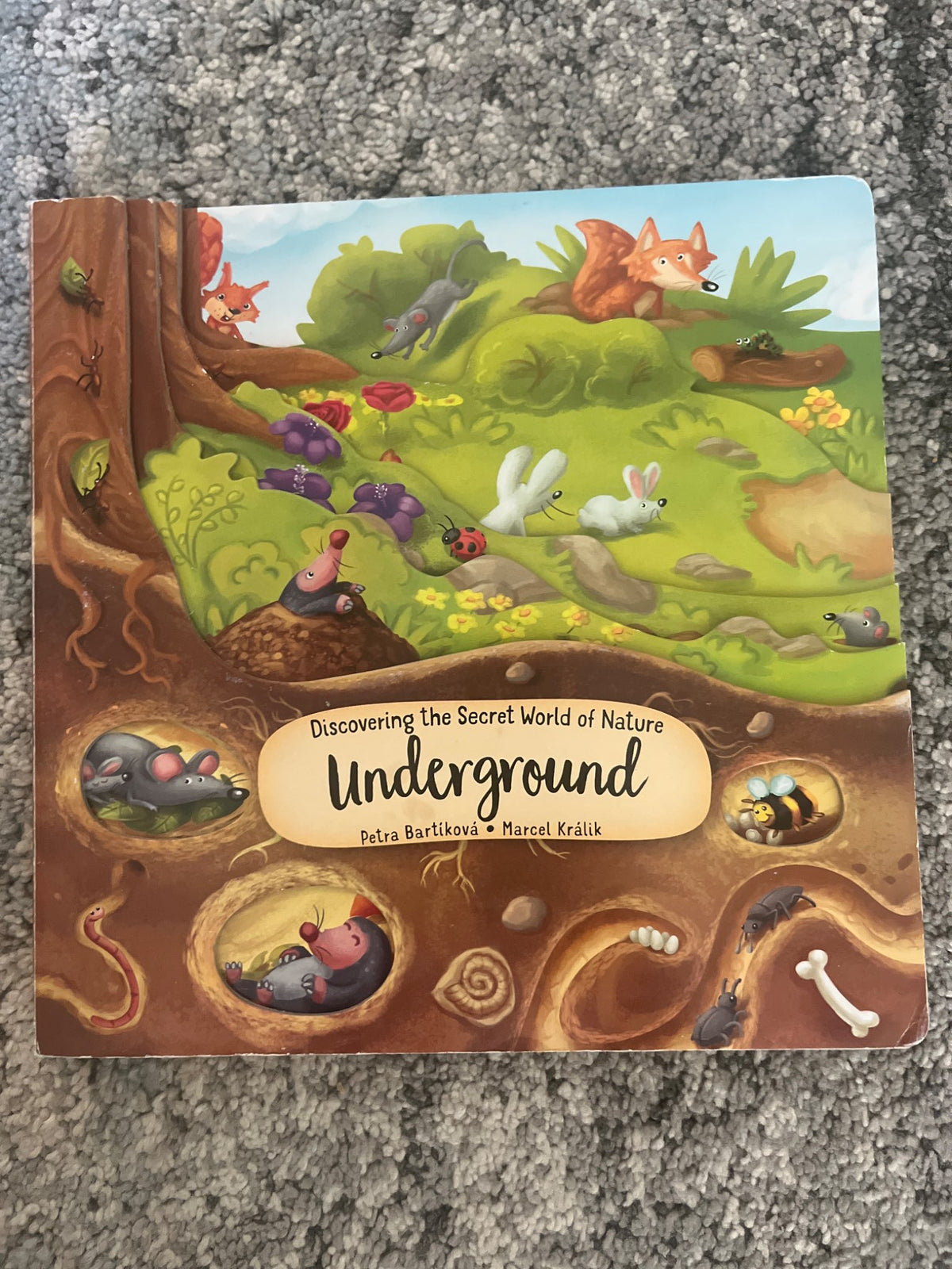 Board book about nature underground