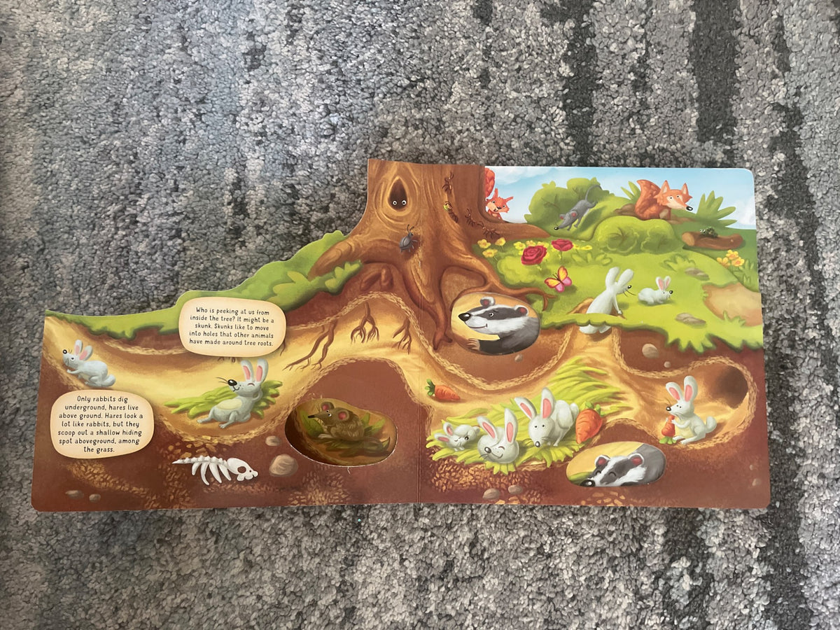 Board book about nature underground