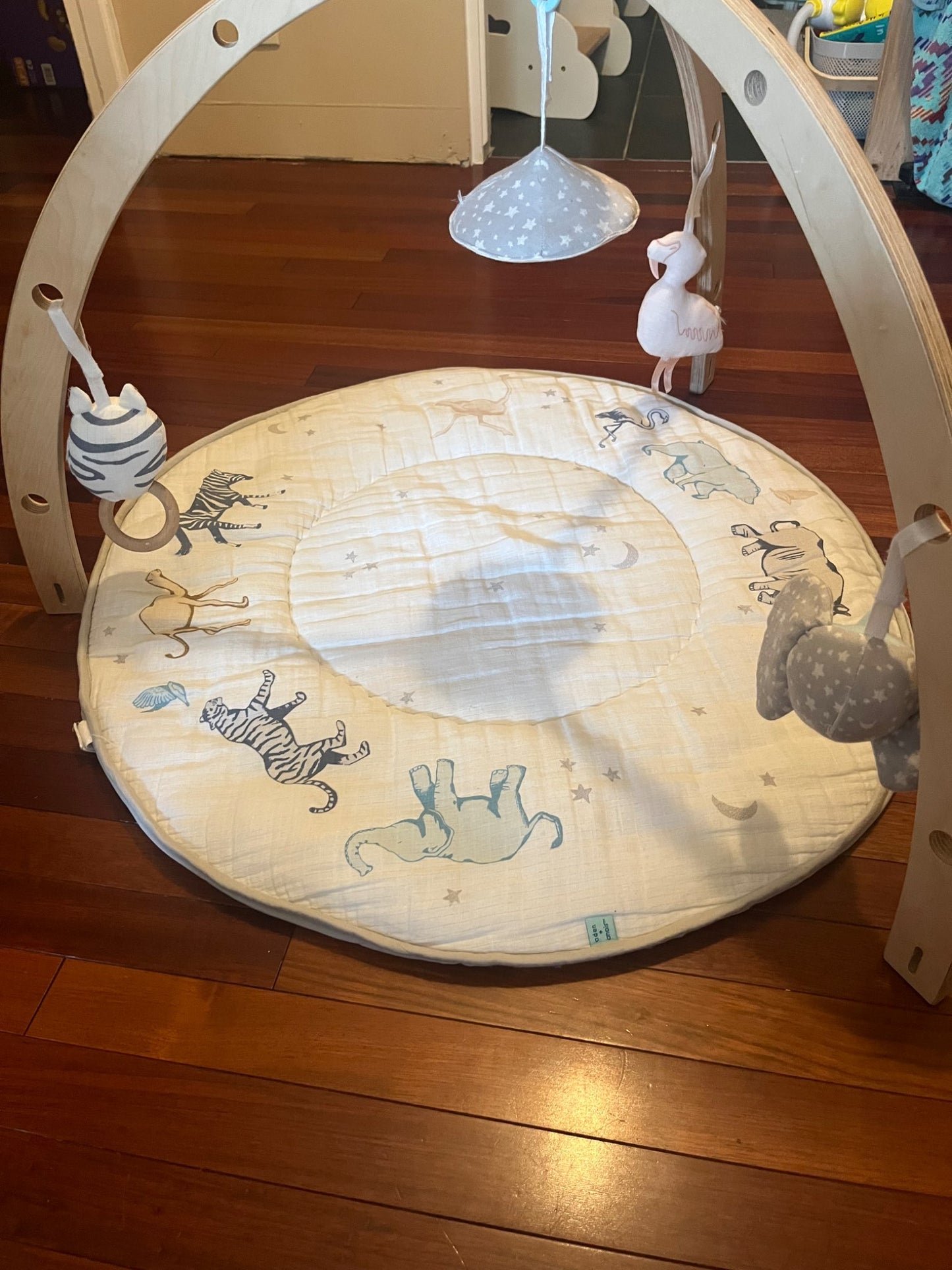 Aden and Anais play gym MRSP $114.99