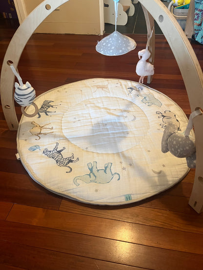 Aden and Anais play gym MRSP $114.99