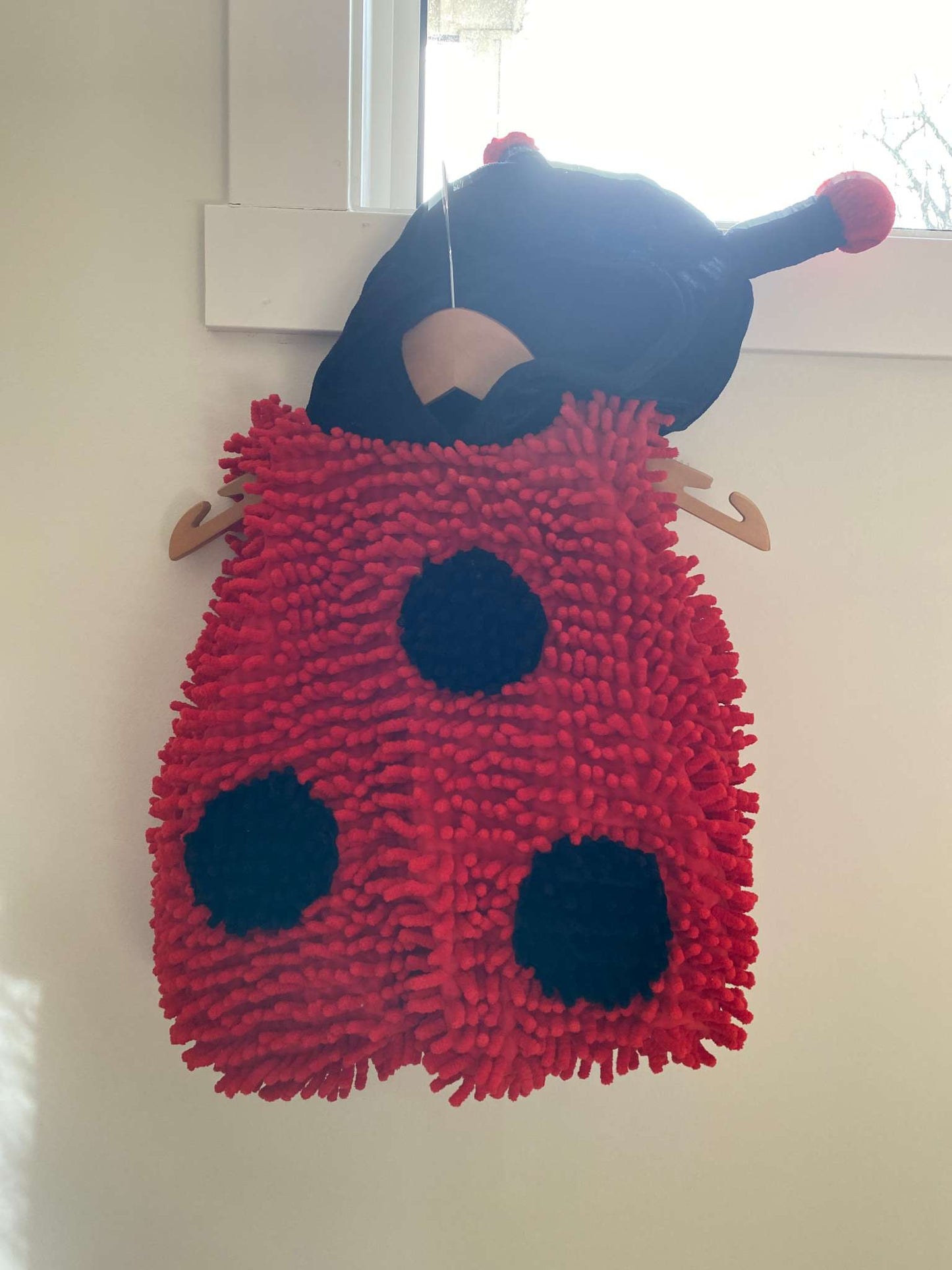 LadyBug Costume 6-9 Month, Kids 9 Month (6-9M)