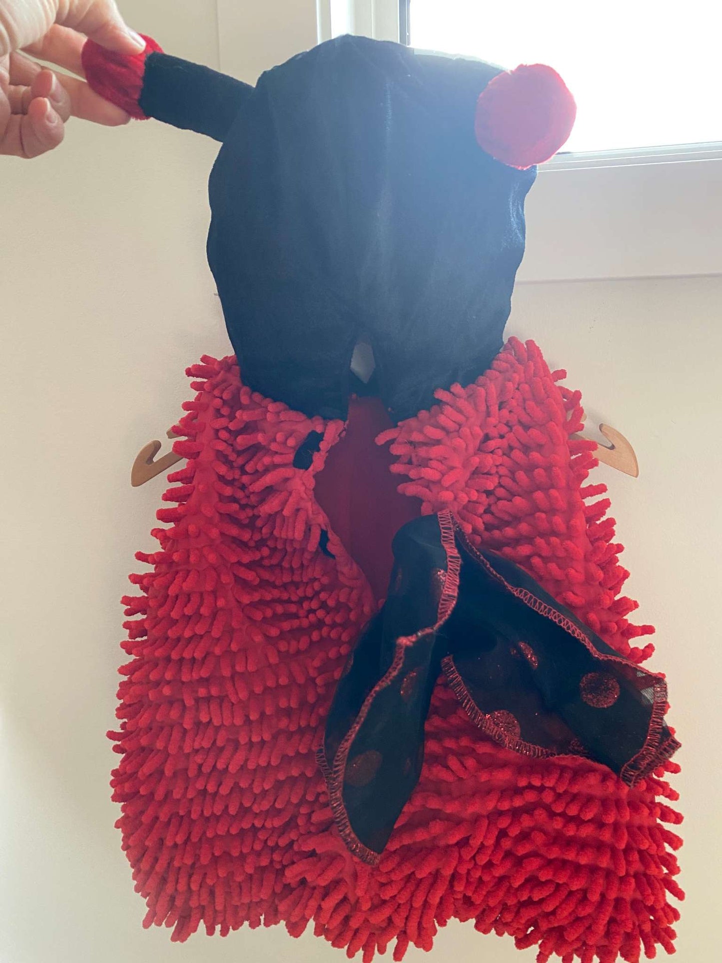 LadyBug Costume 6-9 Month, Kids 9 Month (6-9M)