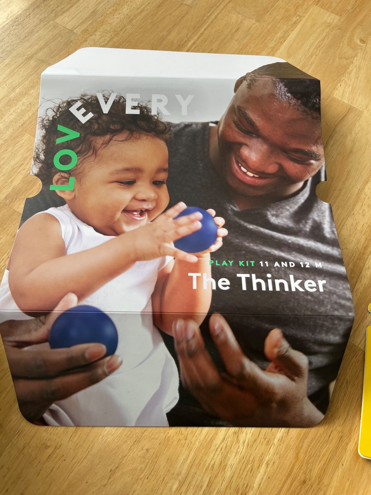 “The Thinker” Lovevery Playkit (11-12M)