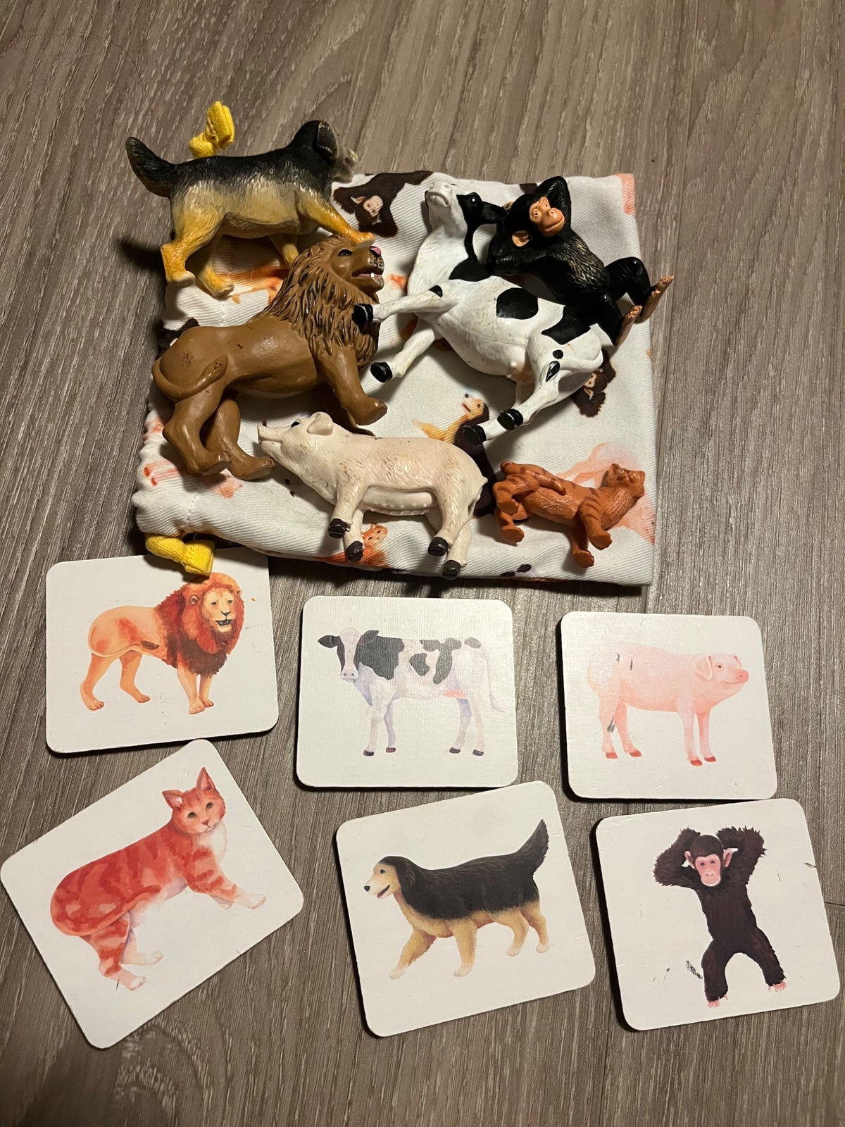“The Companion” Lovevery Play Kit (22-24M)