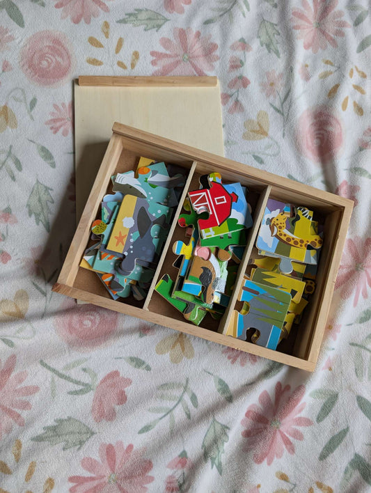 3 in 1 Puzzle box by Melissa and Doug