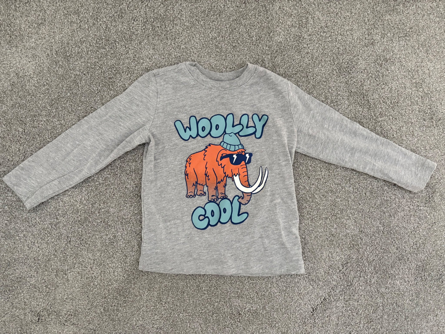Carter’s Toddler Wooly Mammoth Graphic Long-sleeve Tee, 2T, Kids 2T