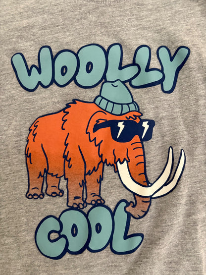 Carter’s Toddler Wooly Mammoth Graphic Long-sleeve Tee, 2T, Kids 2T