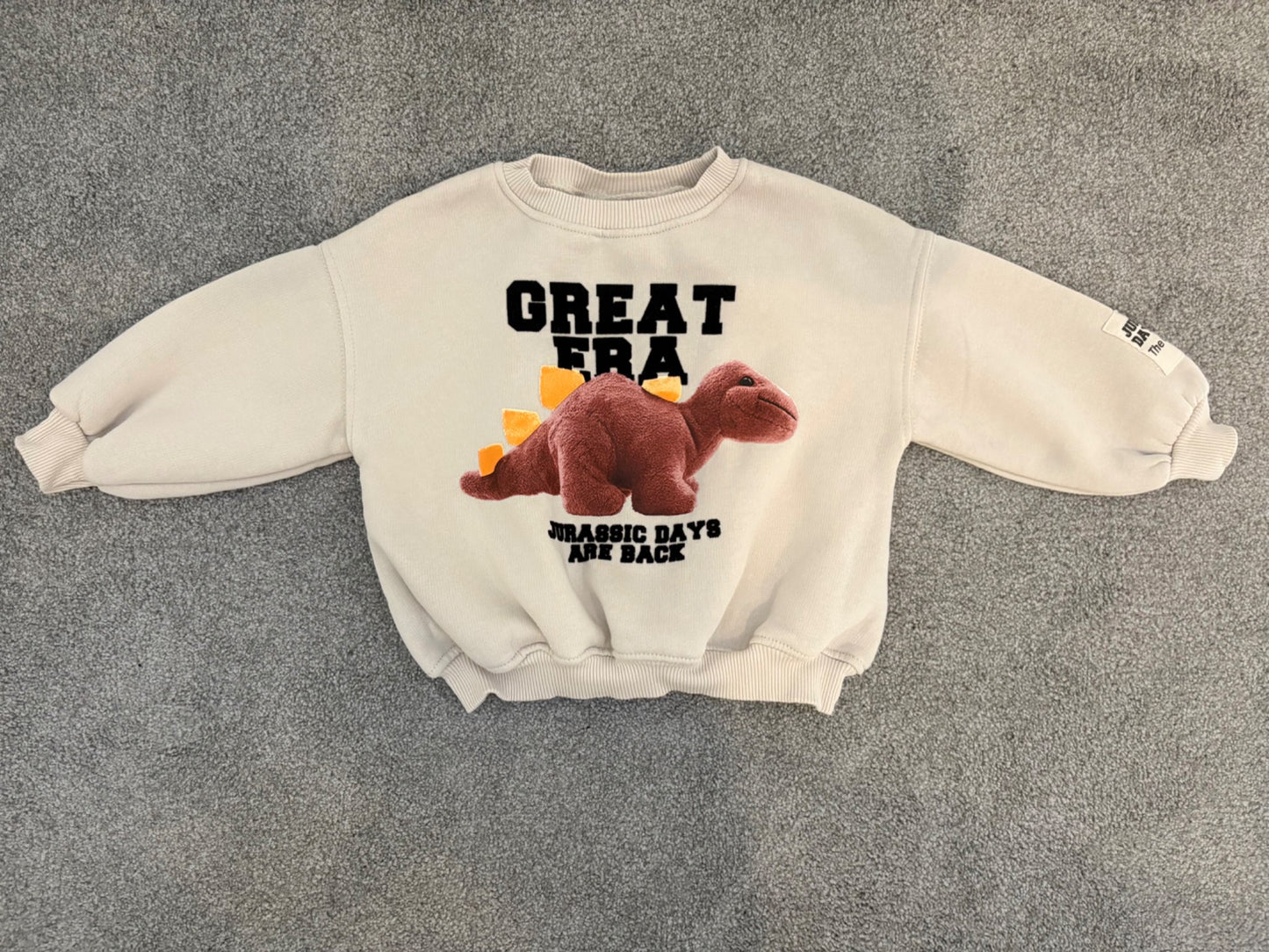 Zara Great Era Dinosaur Sweatshirt, Size 2 years, Kids 2T